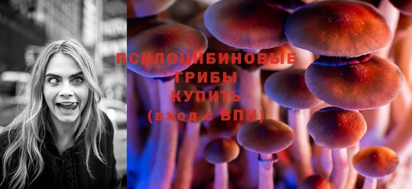 альфа пвп Заволжск