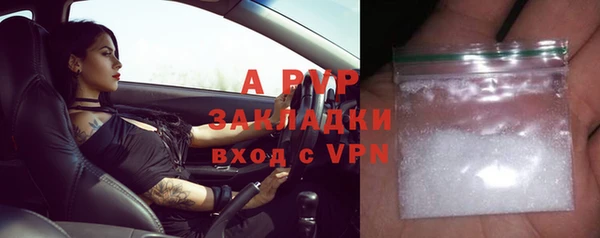 ПСИЛОЦИБИНОВЫЕ ГРИБЫ Заводоуковск
