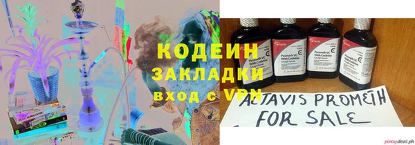 ПСИЛОЦИБИНОВЫЕ ГРИБЫ Заводоуковск