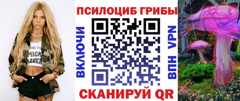 Псилоцибиновые грибы Psilocybine cubensis  Купить  Оха 