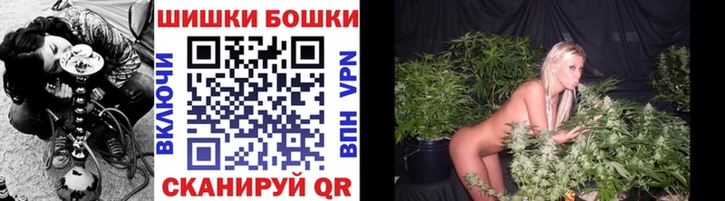 Купить где Оха Шишки марихуана SATIVA & INDICA
